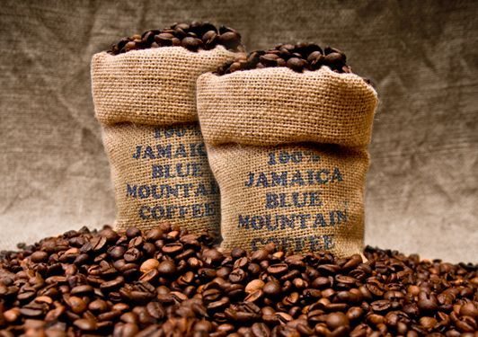 Γνωρίζετε ποιος είναι ο πιο σπάνιος καφές του κόσμου;