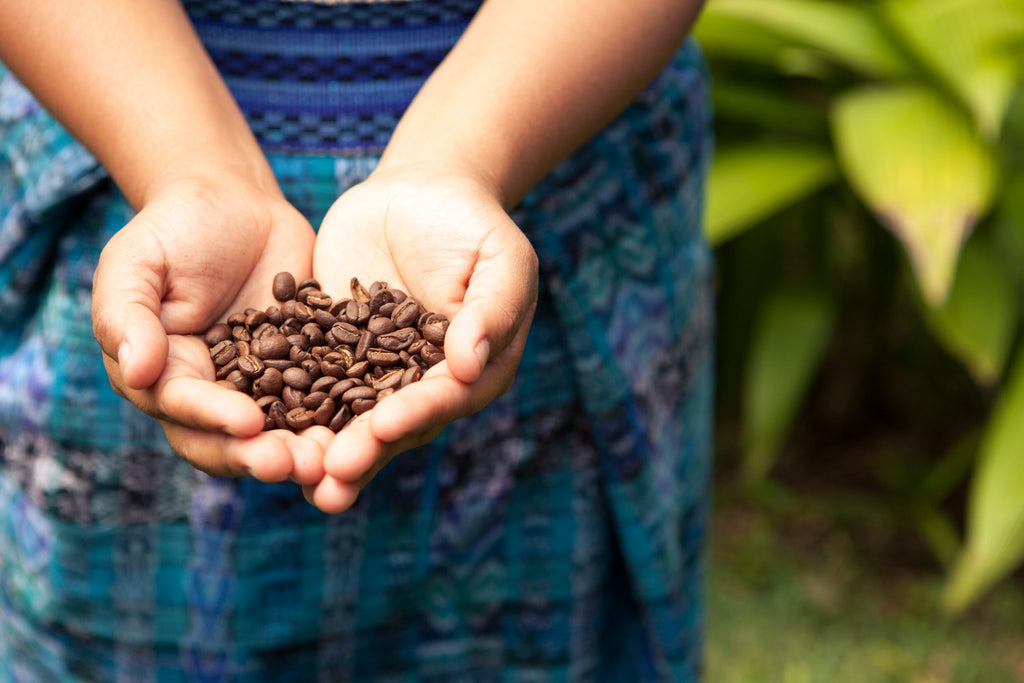 Η παράδοση του καφέ στην Κόστα Ρίκα